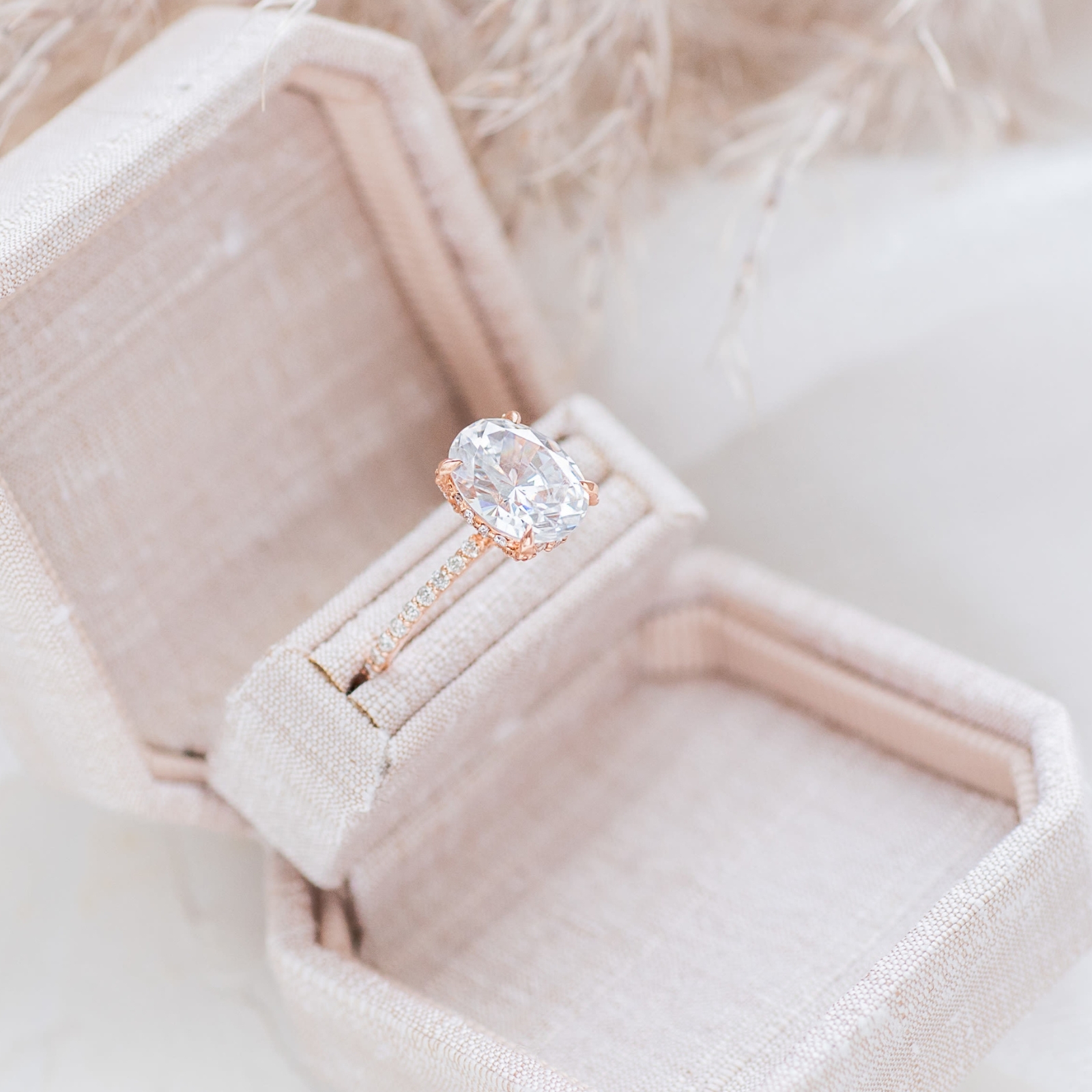 Aila proposal box 1600x1600