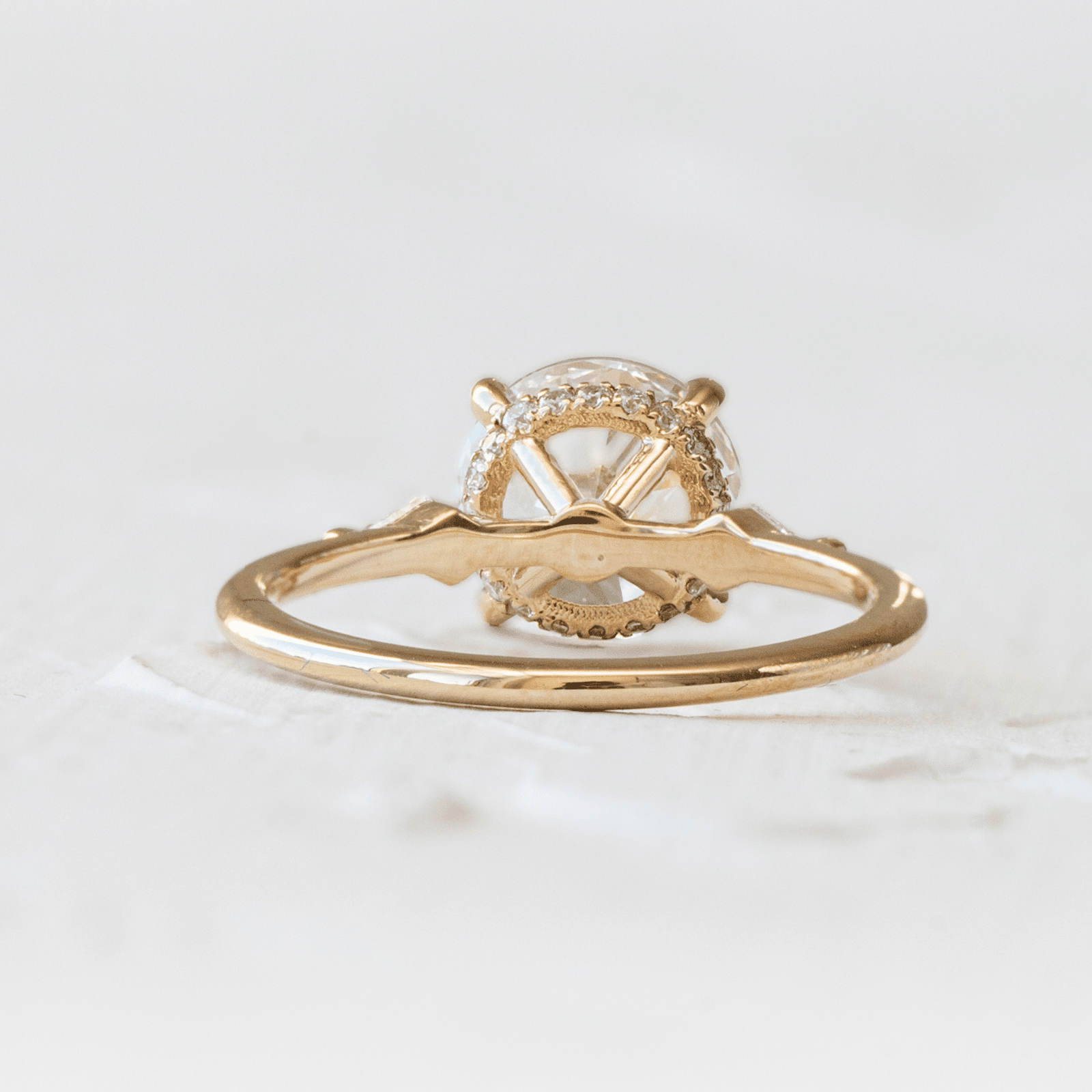 Banks back 1600x1600