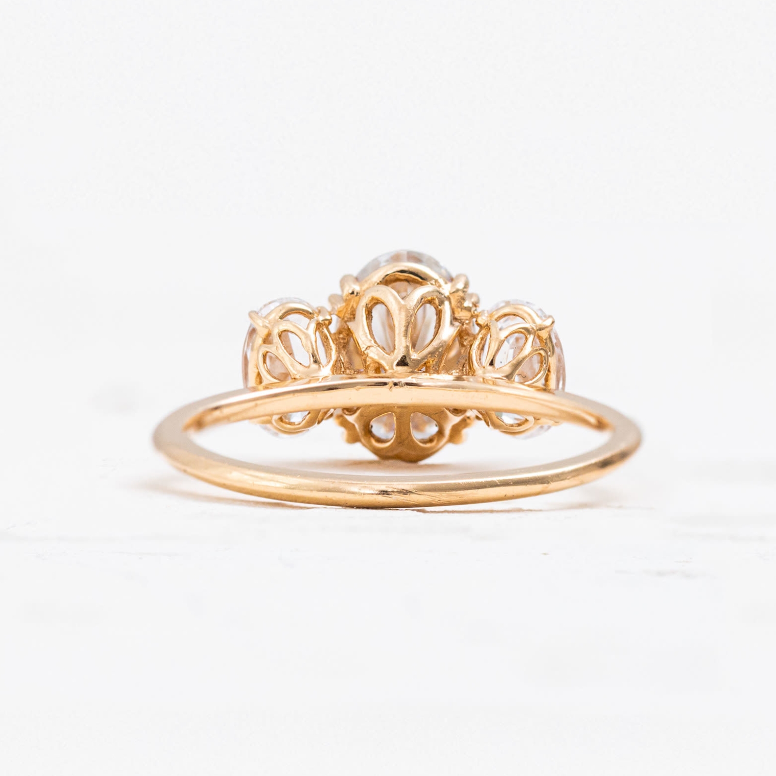 Isabel back 1600x1600