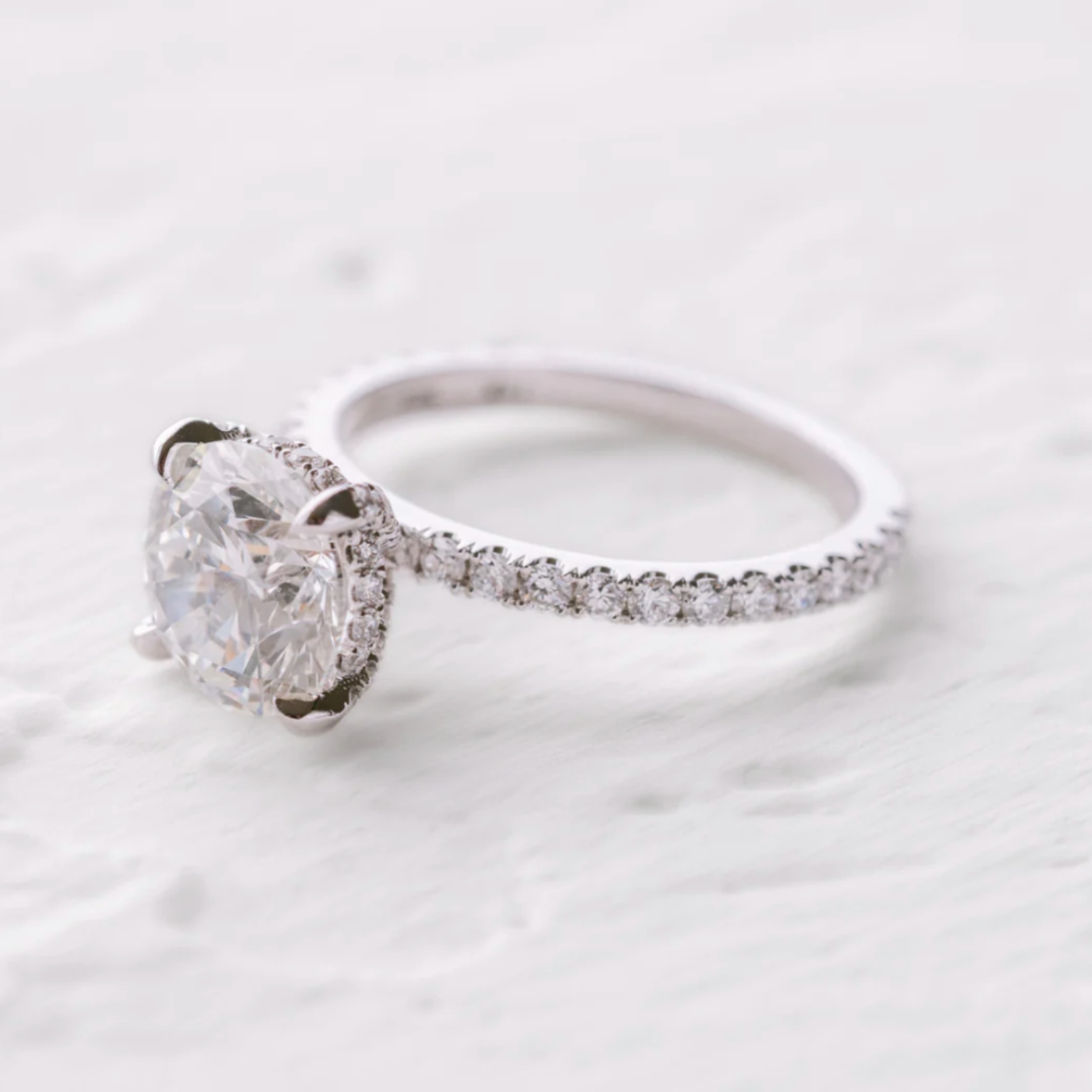 Aila Round 1 1600x1600