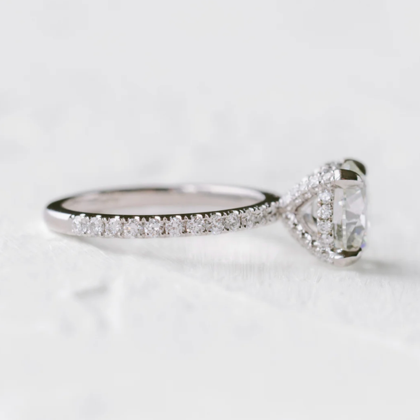 Aila Round 2 1600x1600