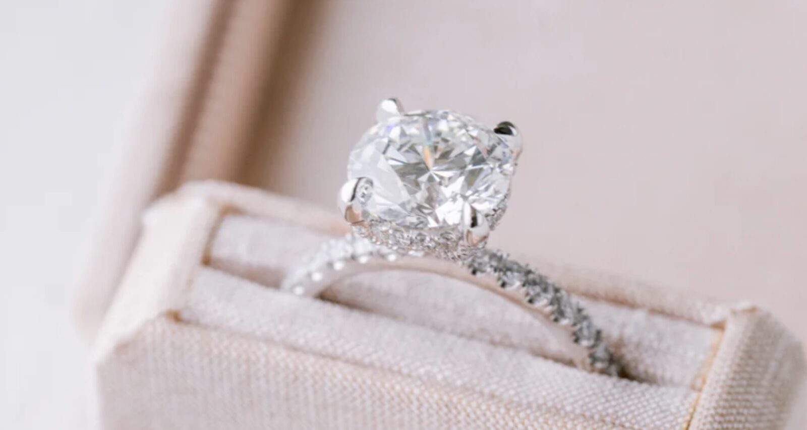 Aila Round 4 1600x1600