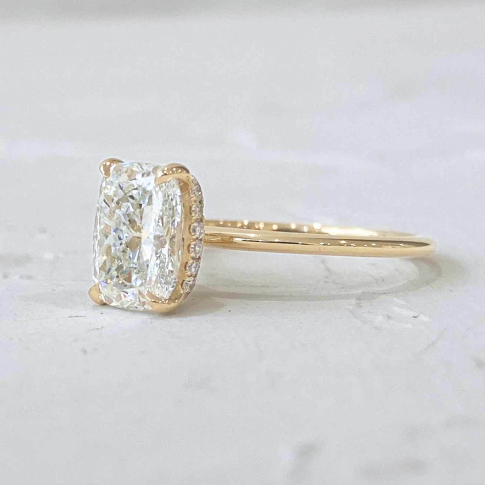 Rose Cushion 1 1600x1600