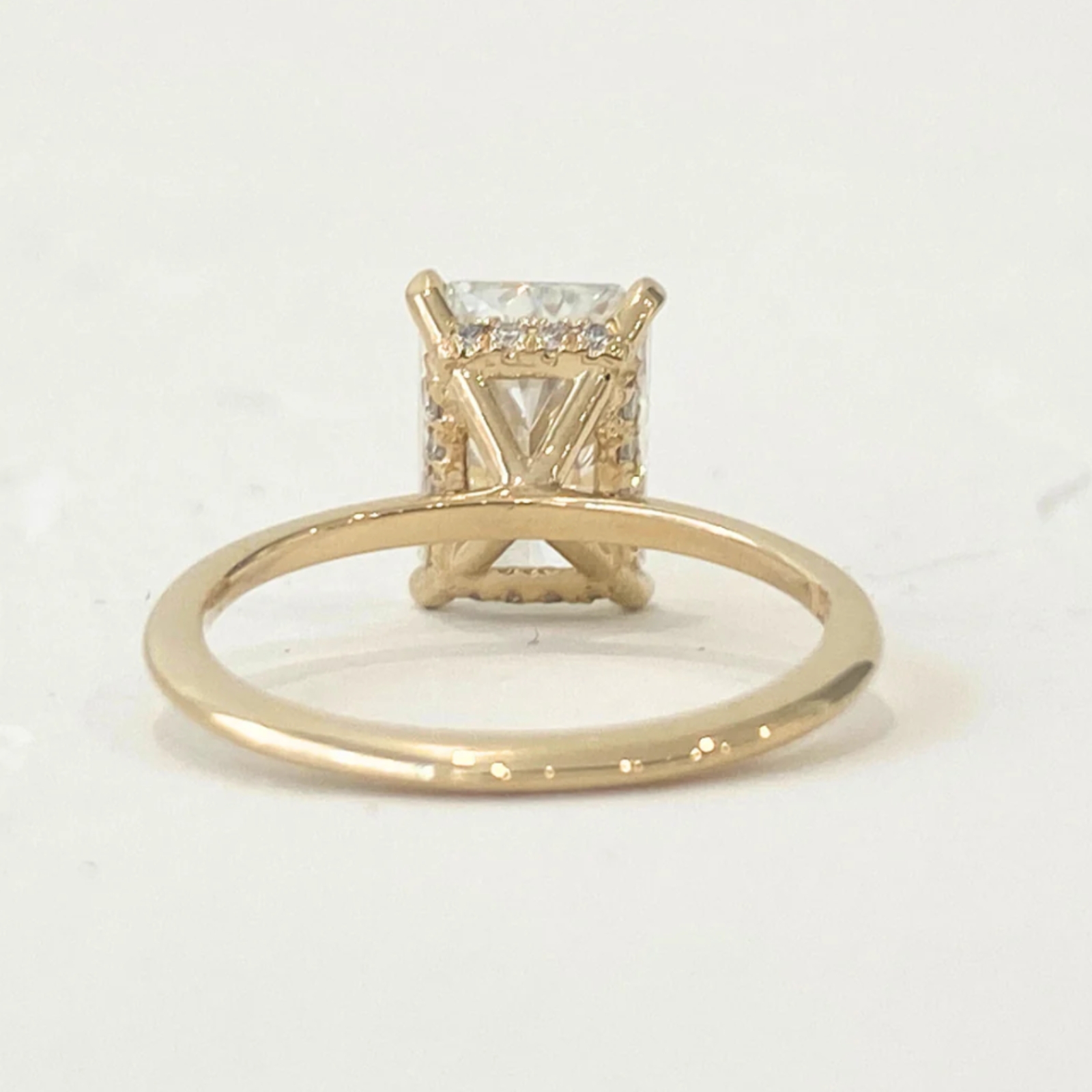 Rose radiant 2 1600x1600