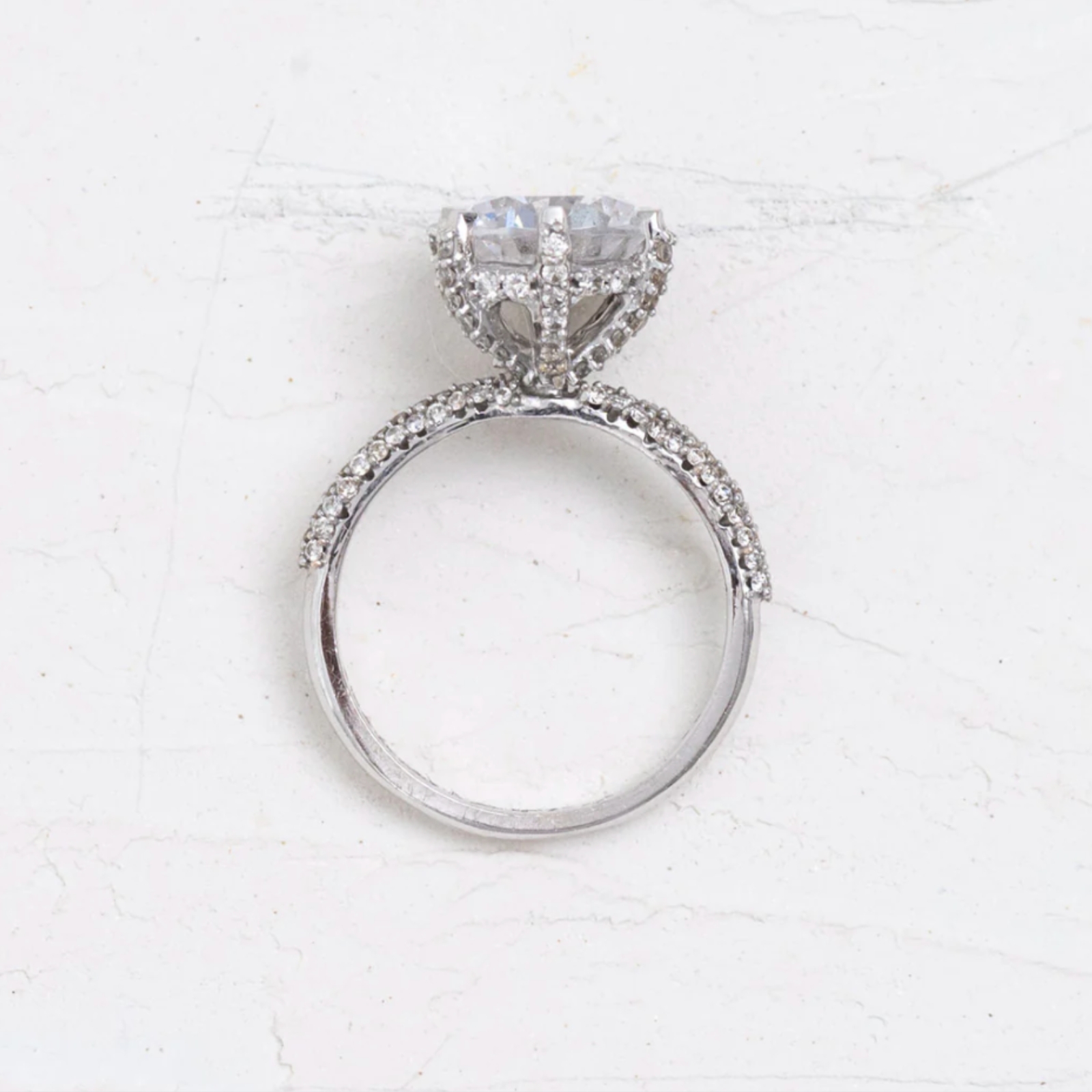 aurora 1600x1600 (3)