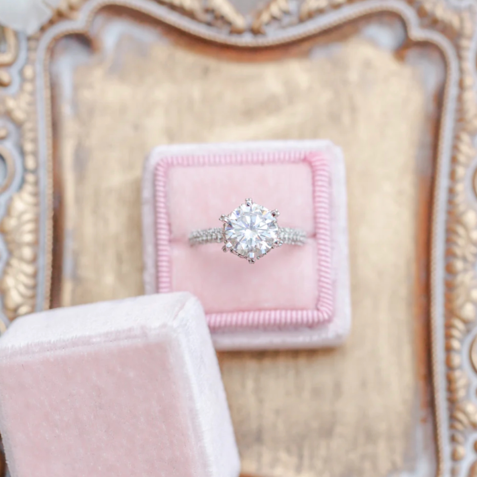 aurora 1600x1600 (4)